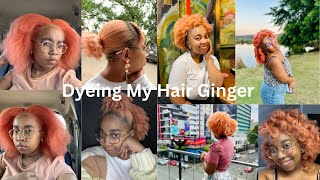 How I bleach and dye my natural hair Ginger  Red to GingerOrange  South African YouTuber [upl. by Vola818]