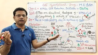 Antihyperlipidemic Drugs Part 04  HMG CoA Reductase Inhibitors  Statins Mechanism of Action [upl. by Yednil482]