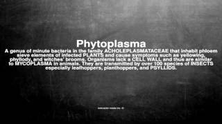 Medical vocabulary What does Phytoplasma mean [upl. by Atekihs780]