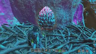 ARK Survival Ascended  Budget Rock Drake Egg Hunt FT Cosmo [upl. by Eelame]