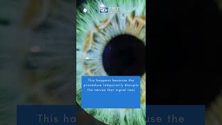 Why Do LASIK Patients Experience Dry Eyes [upl. by Aidualk834]