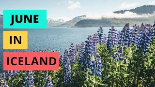 June in Iceland  ULTIMATE travel guide [upl. by Iror562]