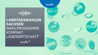 Landwirtschaft – Das planen Sachsens Parteien  Podcast Wahlprogramme kompakt  MDR [upl. by Deloria89]