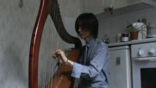 Comptine dun Autre Été on the Harp [upl. by Clyde235]