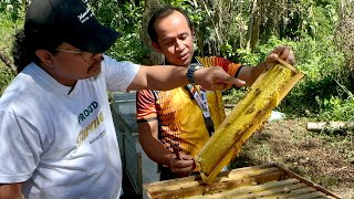 Beekeeping for Beginners Paano Kumita ng 16 Million sa 100 Colonies [upl. by Bora]