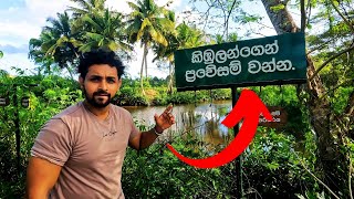 Exploring Sanctuary KIRALA KELE sanctuary  කිරල කැලේ අභයභූමියට යමු  Tharaka Vlogs 🌲🌳🦅🐦 [upl. by Aneri546]