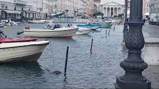 Maltempo e acqua alta in centro a Trieste [upl. by Ardnuas442]