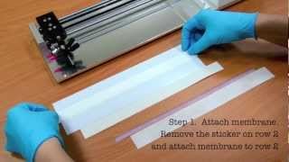 Rapid Test Immunoassay Membrane tutorial [upl. by Nilo701]