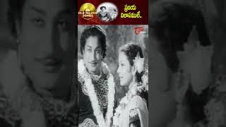 ప్రణయ విలాసములే Pranaya vilasamule Song Sivaji Ganesan Manohara Movie shorts youtubeshorts [upl. by Socem]