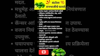 💥 रानभाजीचे बहुमूल्य फायदे 😯‼️ पावसाळीभाज्या रानभाजी shorts rainyseason vegetables benefits [upl. by Zaneta]