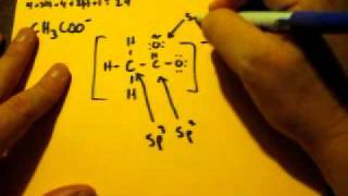 Lewis Dot Structure of CH3COO acetate ion [upl. by Vanhomrigh714]