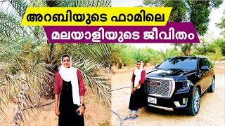 അറബിയുടെ ഫാമിലെ മലയാളിയുടെ ജീവിതം  Farm House in Dubai [upl. by Edyaw]