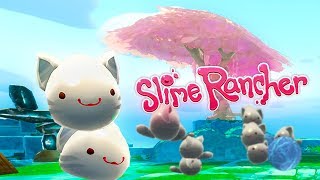 FILLING MOCHIS MANOR WITH TABBY SLIMES  120 Update  Slime Rancher Full Version Gameplay [upl. by Burke]