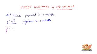 How to identify polynomials in one variable [upl. by Tihom]