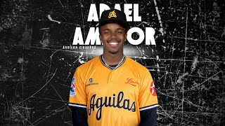 Águilas adquieren al prospecto Adael Amador desde los Toros por Elehuris Montero 🎤 Mari Vázquez [upl. by Talley346]