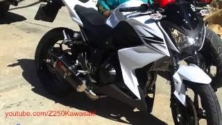 Akrapovic Carbon Exhaust SLIP ON For Kawasaki Z250 HD [upl. by Niknar]