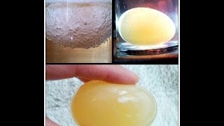 How to make Bouncy Egg Squishy Egg Science Experiment [upl. by Gabriellia876]