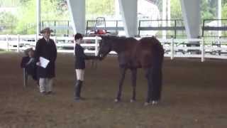 Appaloosa Horse Show Event  Part8 [upl. by Yrocal]