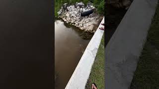 GAR FISH fishing fish fishingvideo youtube youtubeshorts youtubeshort shorts short florida [upl. by Tymes]