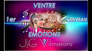 VENTRE amp DIGESTION  TON VENTRE GÈRE TES ÉMOTIONS  VERSION EMPIRIQUE  432 Hz  CERVEAU ENTERIQUE [upl. by Ulysses543]