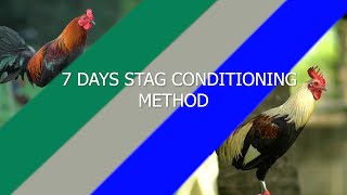 7 Days Stag Conditoning Method [upl. by Blas]