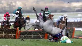 Top 5 worst jockey falls [upl. by Rengia]