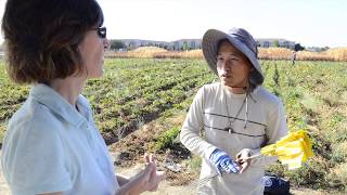 Fresno State Jordan College Student Spotlight Touyee Thao 52017 [upl. by Eatnoled21]