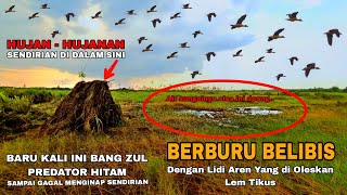 Wowww banyak sekali ‼️ belibisnya udah kayak madu yg beterbangan berburu belibis dengan lem tikus [upl. by Shaw309]