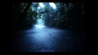 quot60 minsquot Nature Heavy Rainstorm Relaxing Sounds No Music [upl. by Ettezoj]