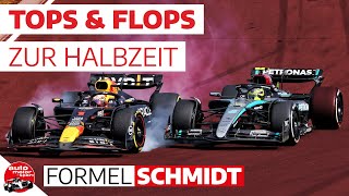 Gewinner und Verlierer der Formel 1 – Zwischenbilanz zur Sommerpause  Formel Schmidt 2024 [upl. by Trinia22]