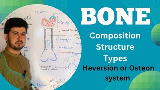 Bone tissue Structure and Composition MDCAT Biology Bone anatomy and Physiology Zia Academy [upl. by Oates284]