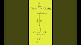 Acid Hydrolysis of Esters  Ethyl acetate to Acetic acid amp Ethanol  Organic Chemistry  cbse [upl. by Tennaj]