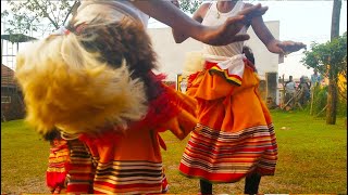 Amazing African Traditional Dances  kiganda Dance [upl. by Ryan712]