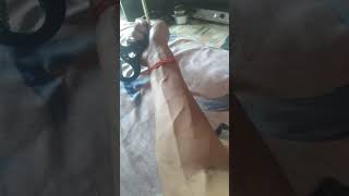 Use Hand Gripper 1 Day 1000 Reps youtubeshorts​ viral​ shortvideo​ [upl. by Gaal431]