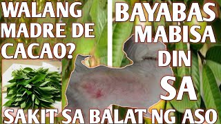 TANGGAL ANG GALIS NG ASOSAKIT SA BALAT NG ASOHONEST VLOG [upl. by Allianora]