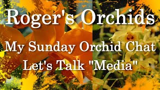 My Sunday Orchid Chat  Lets Talk quotMediaquot [upl. by Rhea]