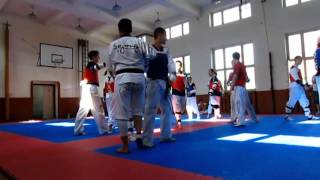 Sejong Taekwondo Training Camp 2013 [upl. by Raknahs274]