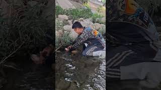 Magaling magtago ang tilapia sa gitna ng bato fishingtechniques fish amizing [upl. by Aitsirt]