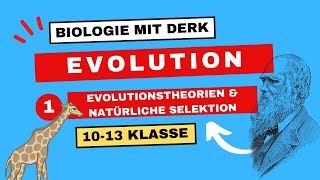 Evolution  1  Evolutionstheorie amp natürliche Selektion  10  13 Klasse [upl. by Enitsirt]