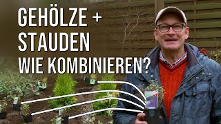 StaudenGehölzeSchattenSonnePflanzen wie kombinierenGarten neu anlegen Teil 4Herbstpflanzung [upl. by Akahc]