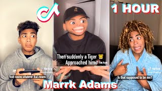 1 HOUR  Mark Adams TikTok 2023  Funny Marrk Adams TikTok Compilation 2023 2 [upl. by Rainger]