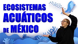 💧 Ecosistemas ACUÁTICOS de México  Tipos Definición y Características [upl. by Oilisab]