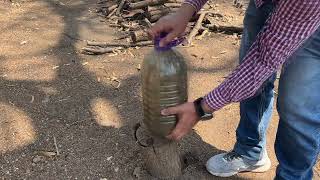 Como hacer potente abono orgánico liquido para arboles y plantas utilizando café y ceniza [upl. by Doughman239]