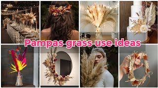 Pampas Grass Use Ideas 2024Diy Pampas GrassWedding Decor Ideas Room Decor Ideas 2024 [upl. by Arahas491]