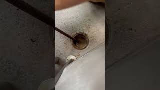 Snaking a drain at a restaurant Gotta love all that grease build up 🤢 plumbing drainclearing [upl. by Violet]