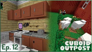 Minecraft Cuboid Outpost  Creating Animals  Ep12 [upl. by Nayb]