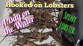 Hooked on Lobsters A Day on the Water [upl. by Stempien]