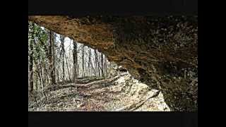 IL PARCO DEL PIAVE A BIGOLINO DI VALDOBBIADENE TVwmv [upl. by Mirelle]