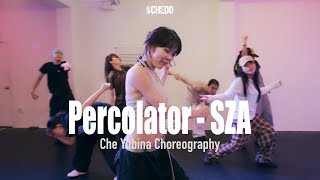 Percolator  SZA  Che Yubina Choreography  CHEDO Program [upl. by Reh494]