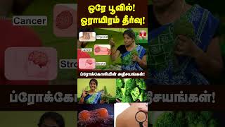 broccoli ன் பயன்கள் [upl. by Ayram]